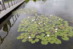 Landesschau_Ingolstadt_12